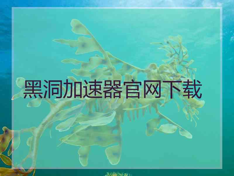 黑洞加速器官网下载