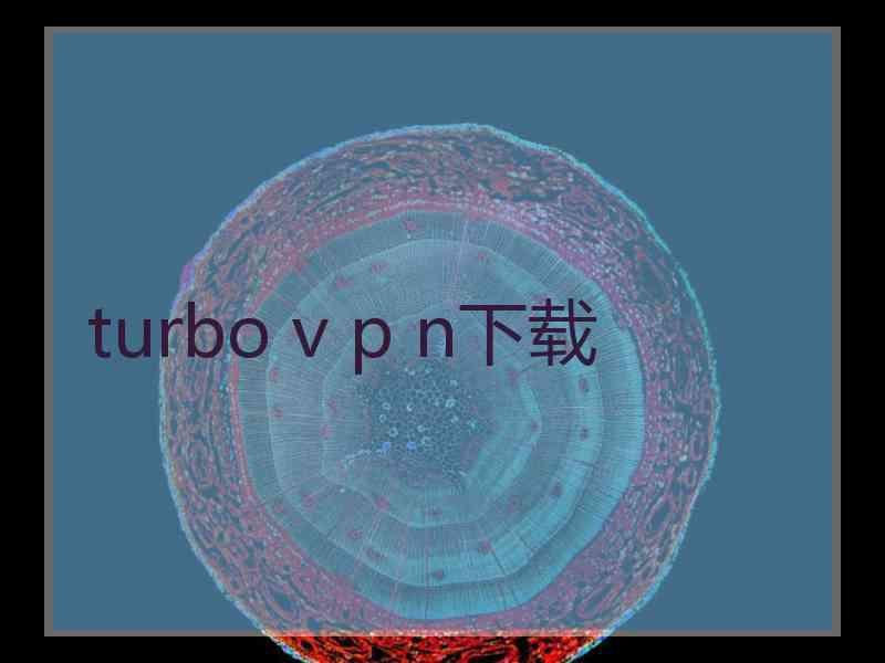 turbo v p n下载