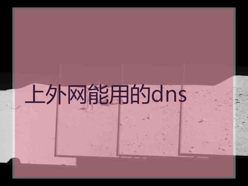 上外网能用的dns