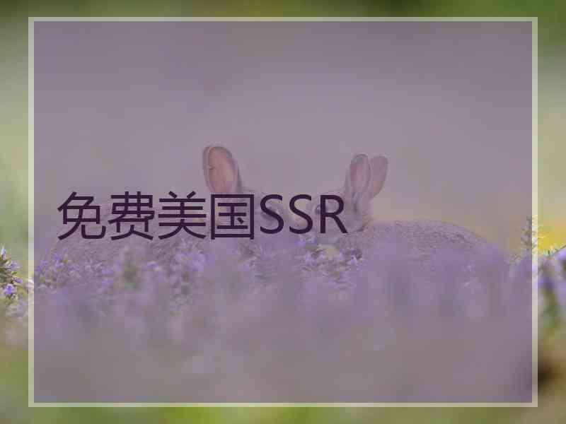 免费美国SSR