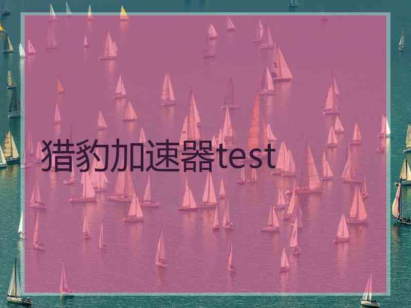 猎豹加速器test