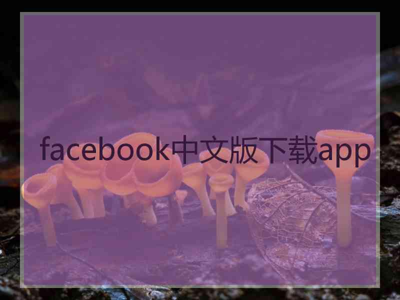 facebook中文版下载app