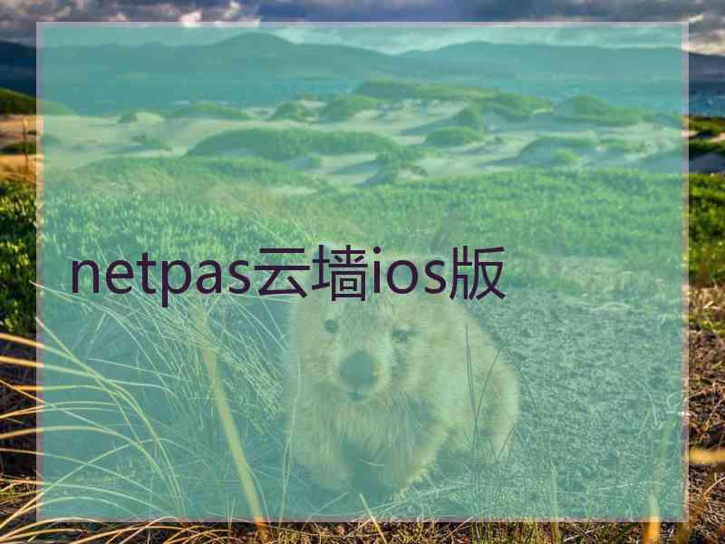 netpas云墙ios版