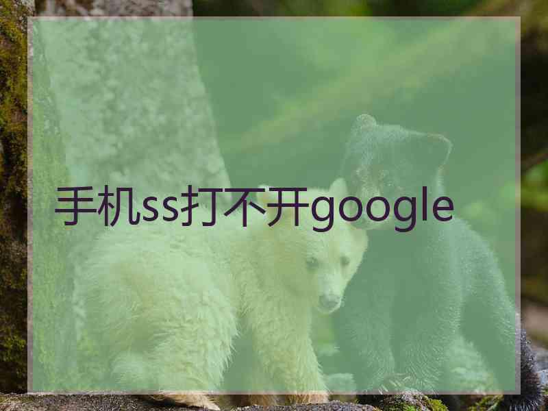 手机ss打不开google