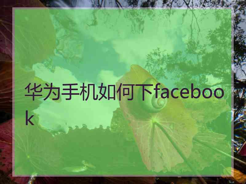 华为手机如何下facebook