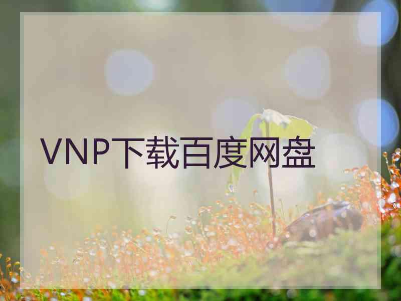 VNP下载百度网盘