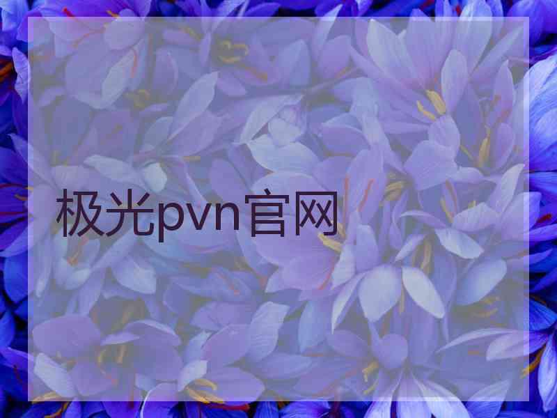 极光pvn官网