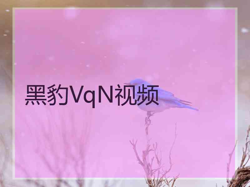 黑豹VqN视频