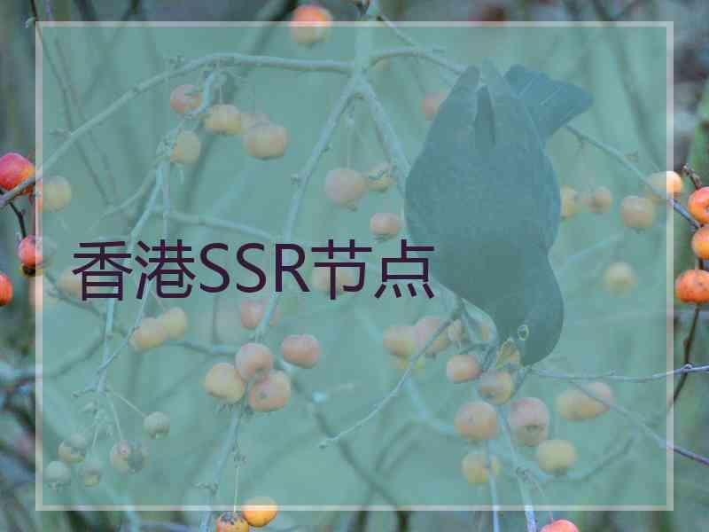 香港SSR节点