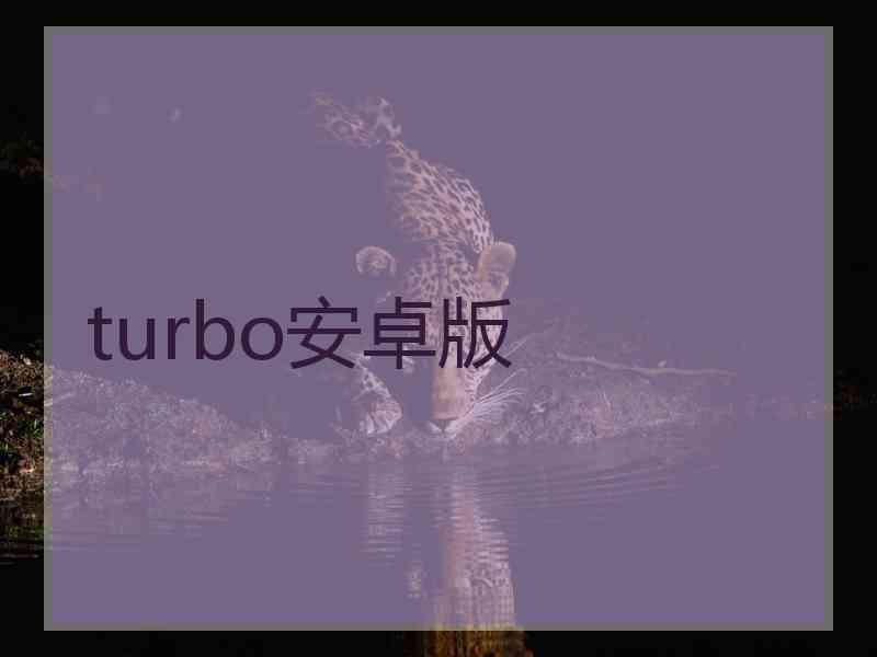 turbo安卓版