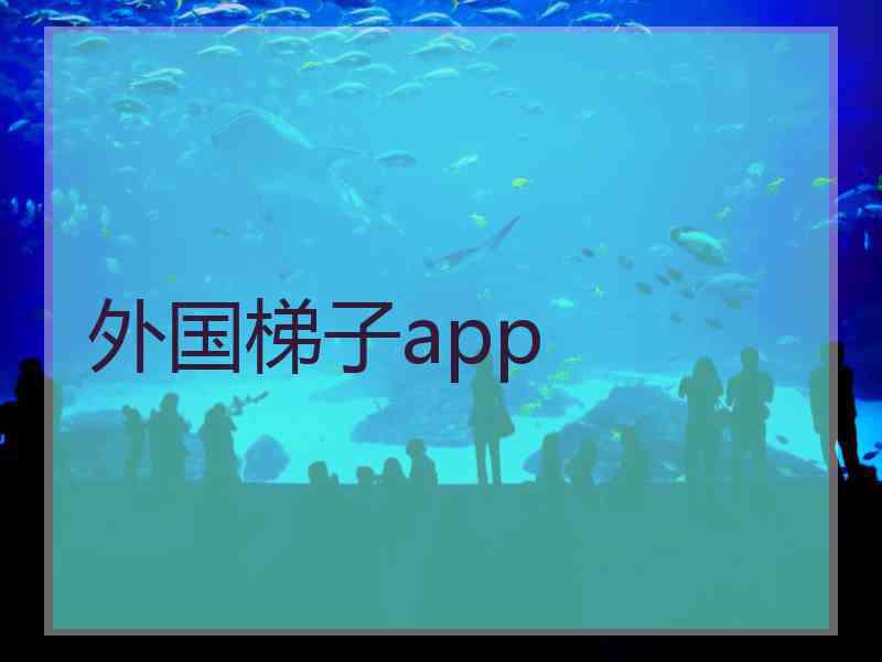 外国梯子app