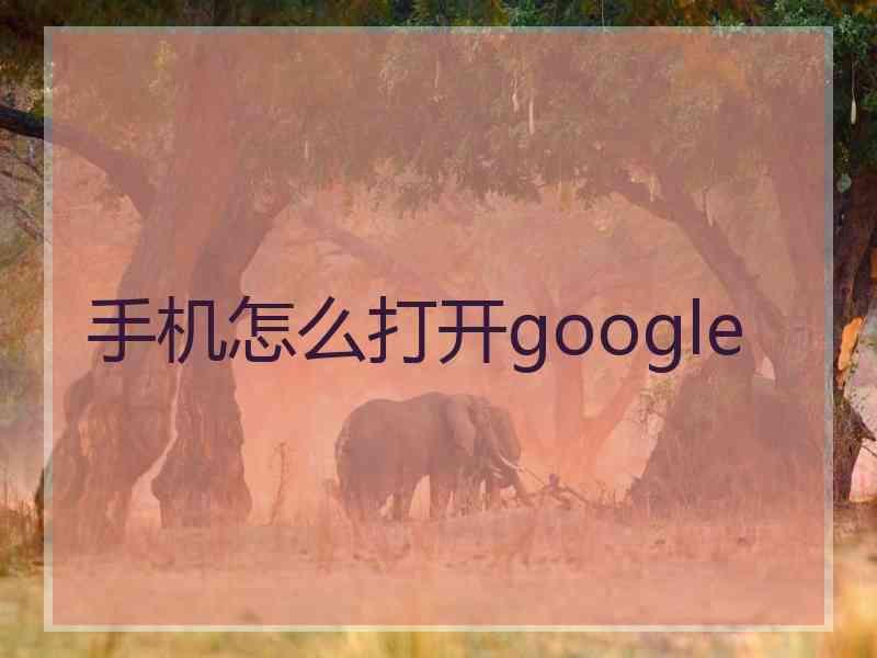 手机怎么打开google