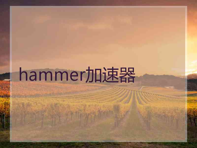 hammer加速器