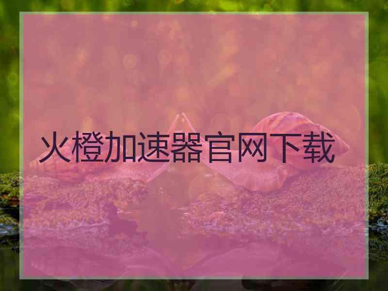 火橙加速器官网下载