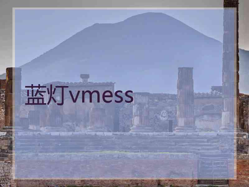 蓝灯vmess