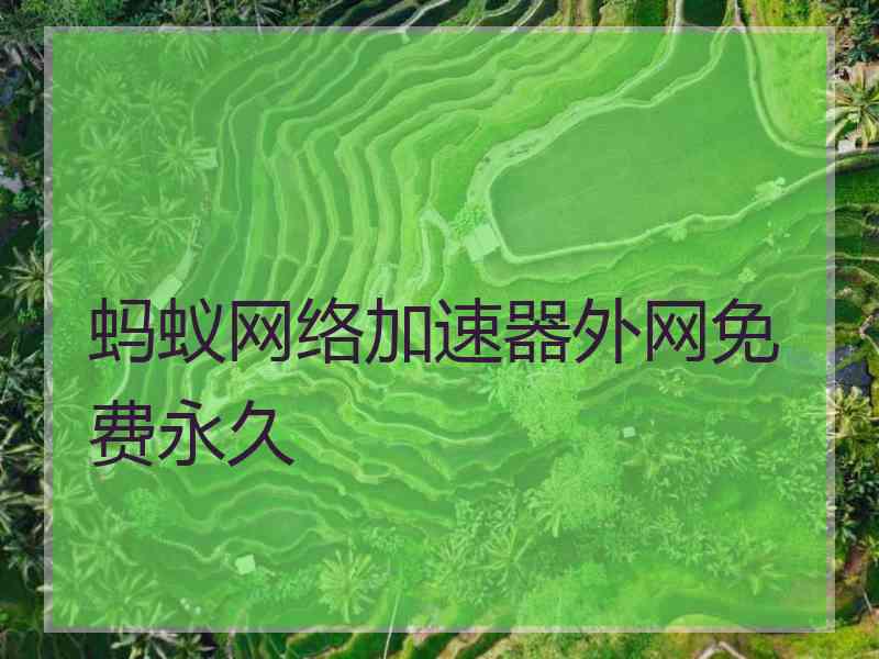 蚂蚁网络加速器外网免费永久