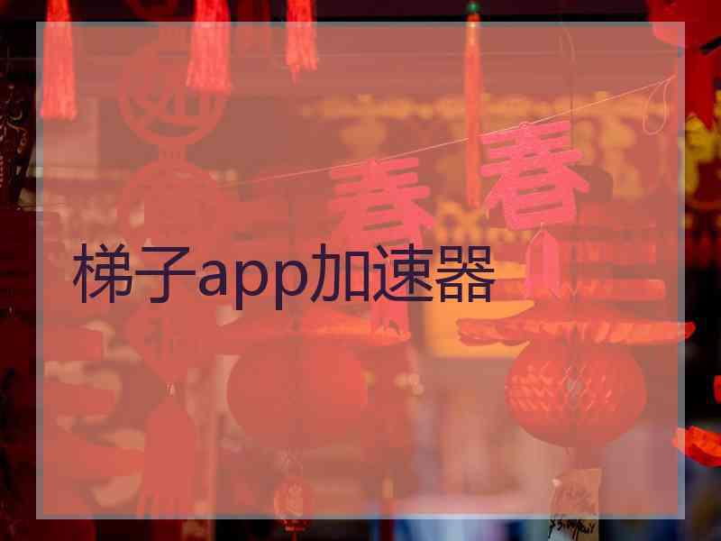 梯子app加速器