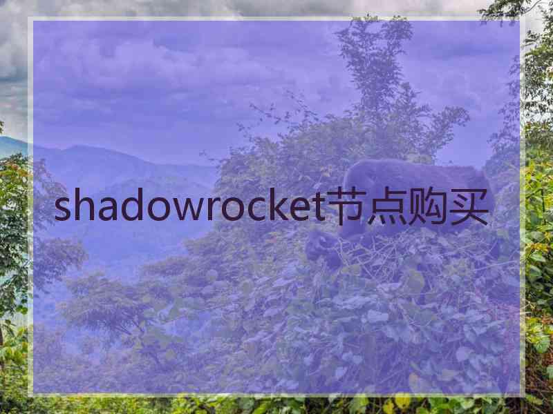 shadowrocket节点购买