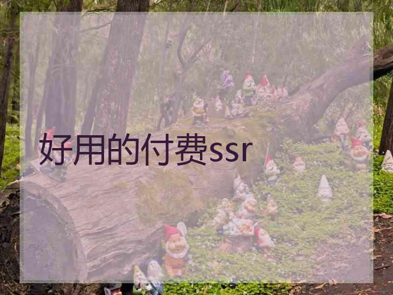 好用的付费ssr