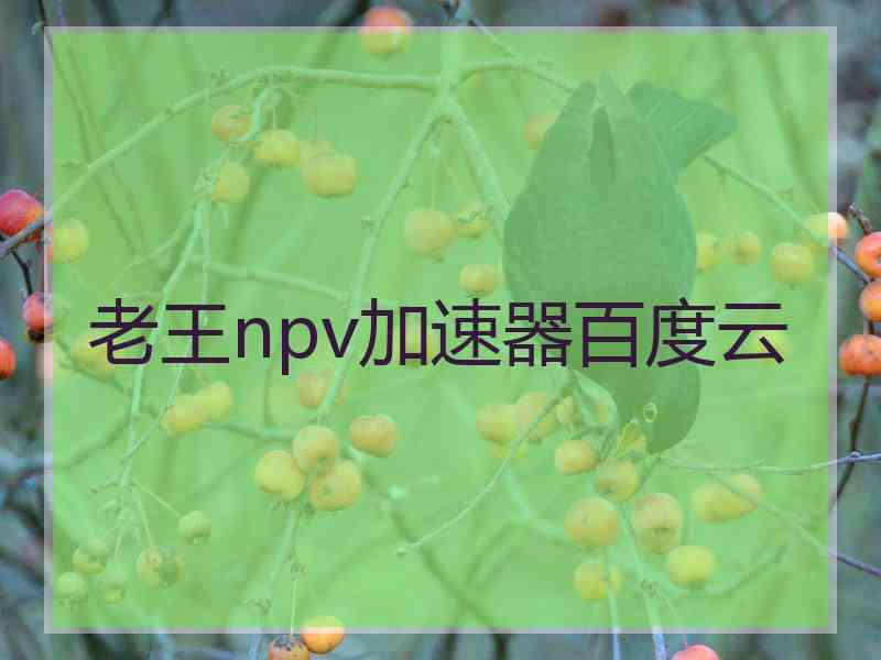 老王npv加速器百度云