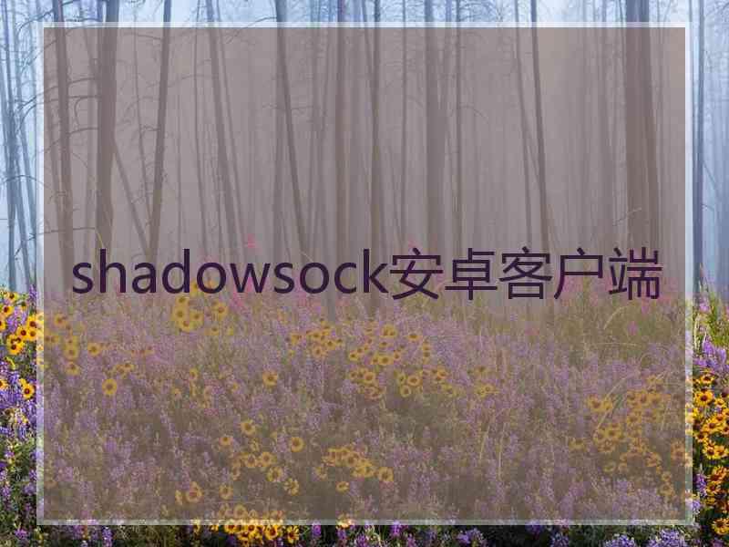 shadowsock安卓客户端