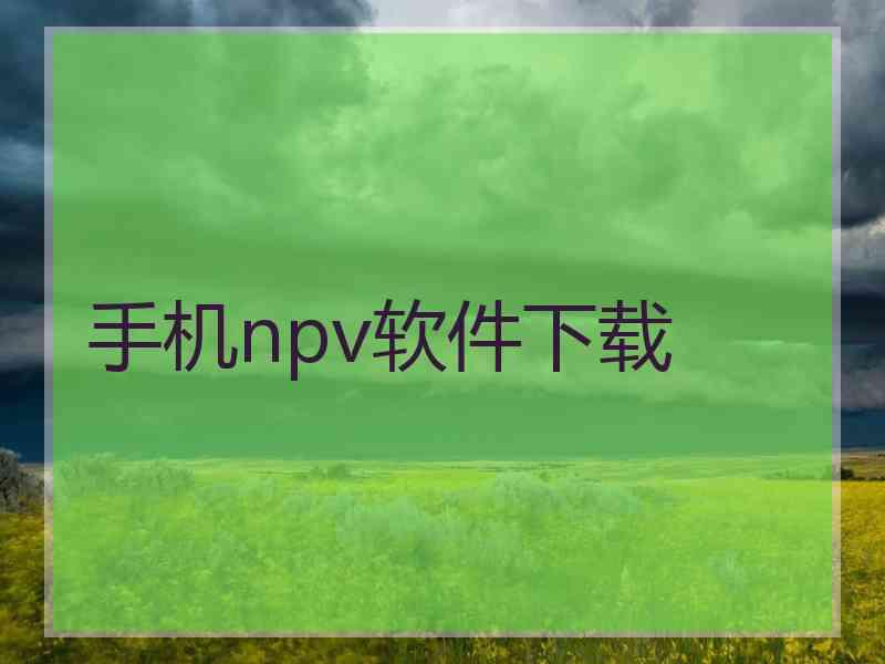 手机npv软件下载