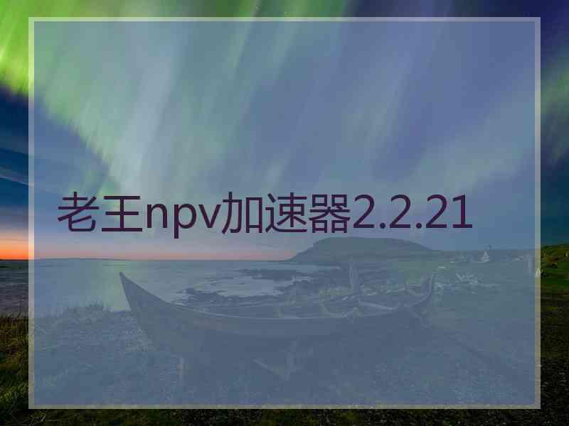 老王npv加速器2.2.21