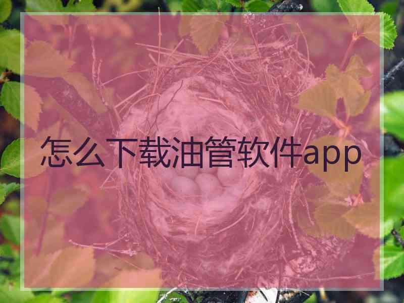 怎么下载油管软件app