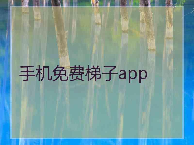 手机免费梯子app