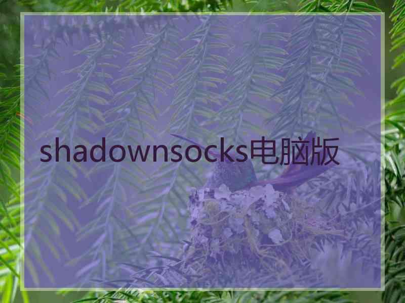 shadownsocks电脑版