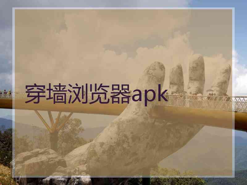 穿墙浏览器apk