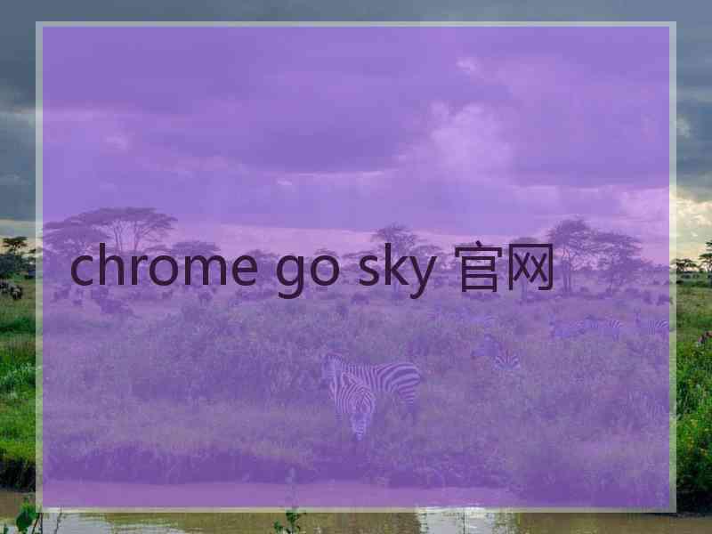 chrome go sky 官网