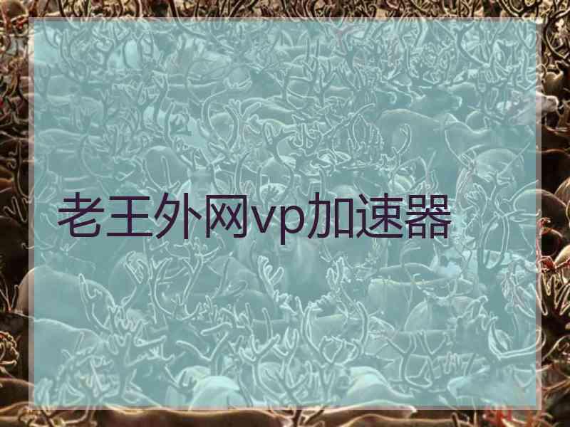 老王外网vp加速器