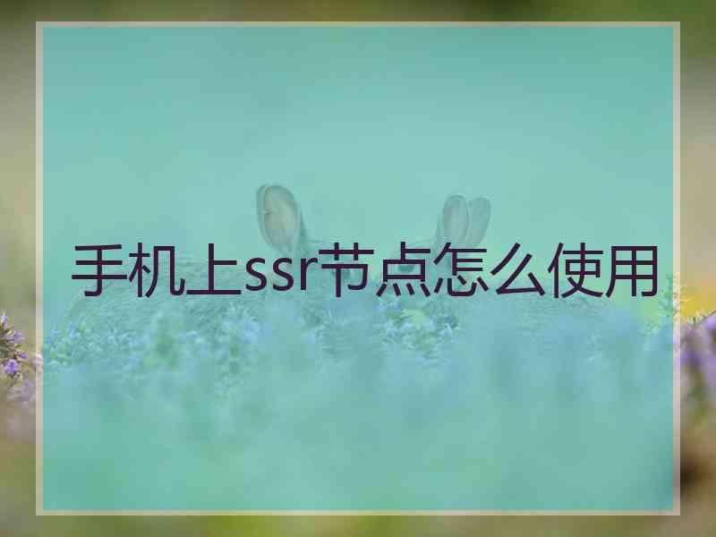 手机上ssr节点怎么使用