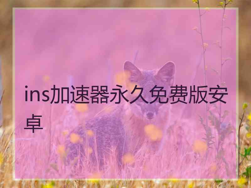 ins加速器永久免费版安卓