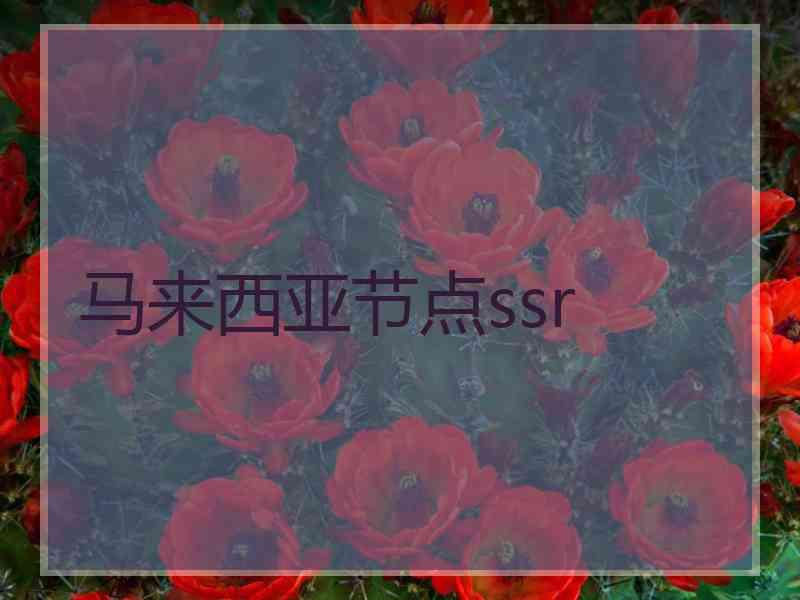 马来西亚节点ssr