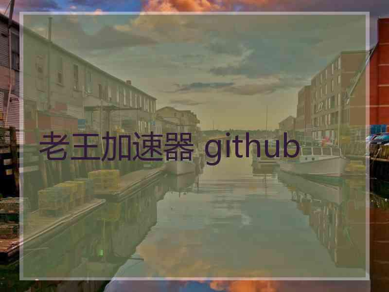 老王加速器 github