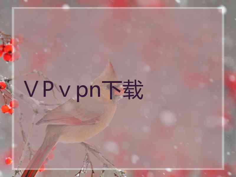 ⅤPⅴpn下载