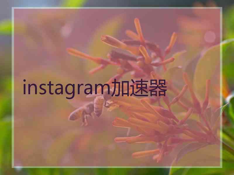 instagram加速器