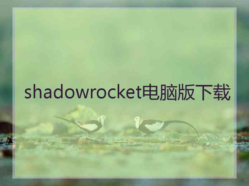 shadowrocket电脑版下载