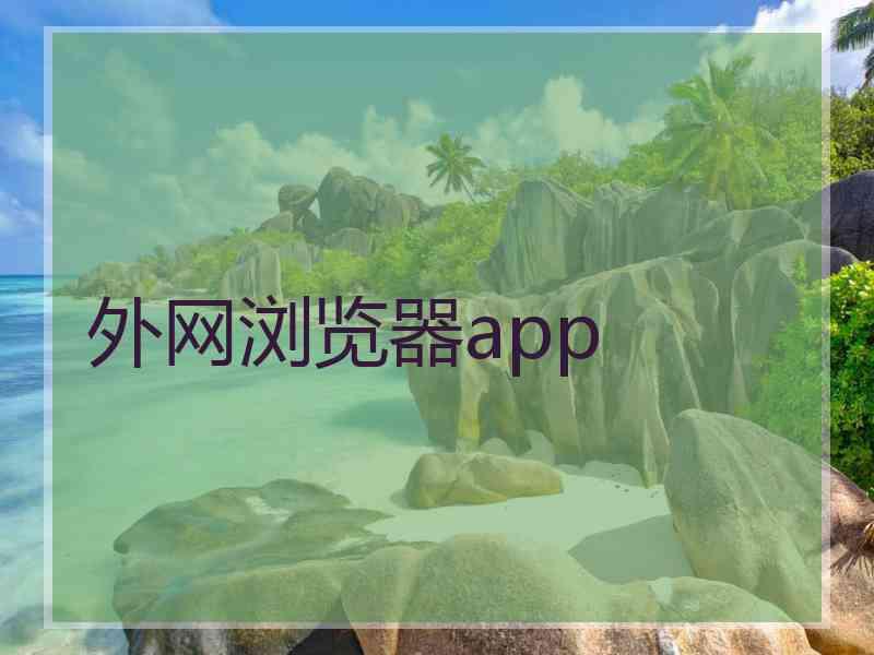 外网浏览器app