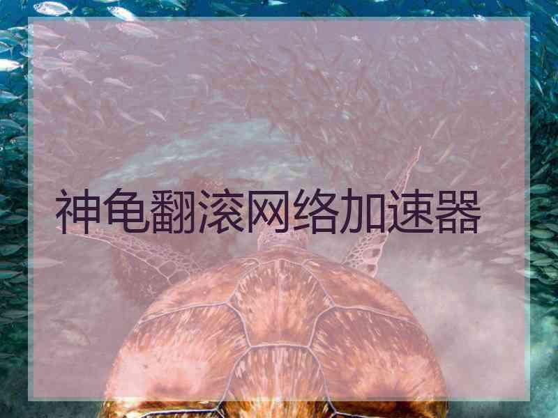 神龟翻滚网络加速器