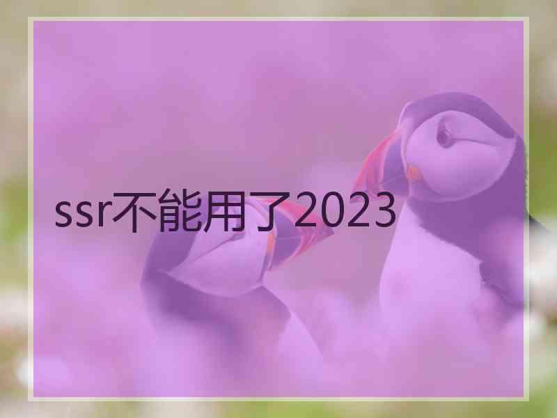 ssr不能用了2023