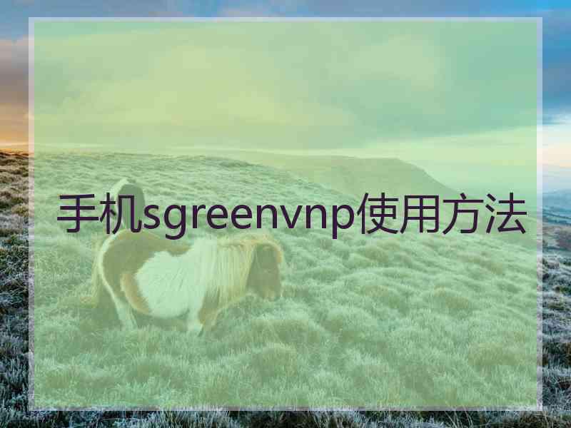 手机sgreenvnp使用方法